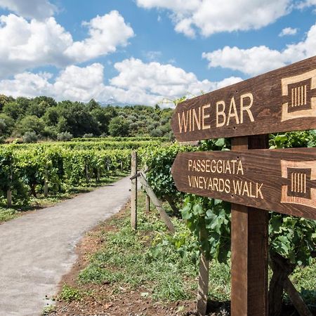 Firriato Hospitality Cavanera Etnea Resort & Wine Experience Кастильоне ди Сичилия Екстериор снимка